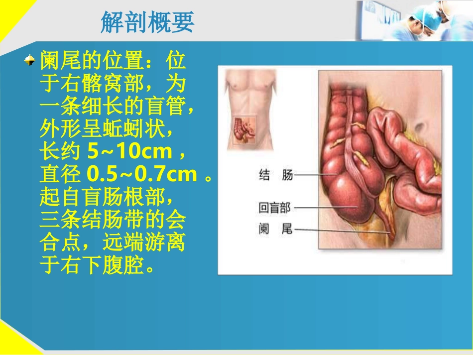 急性阑尾炎的诊断及治疗_第2页