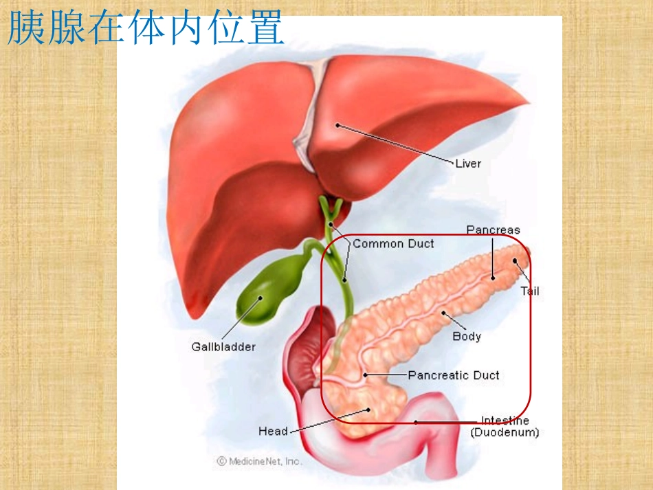 急性胰腺炎护理_第2页