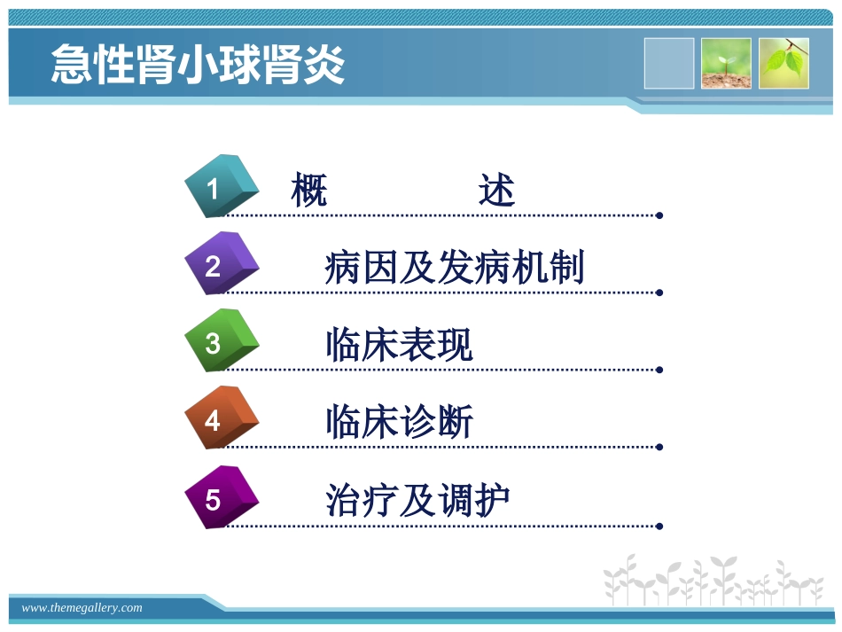 急性肾小球肾_第2页