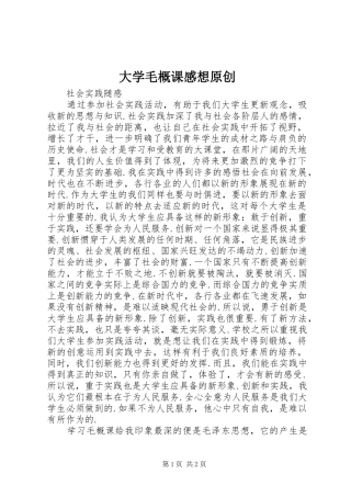 大学毛概课感想原创