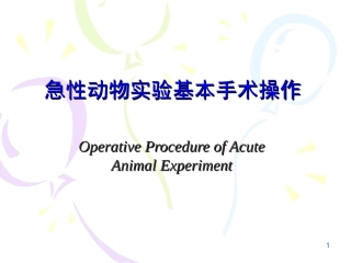 急性动物实验lvjing