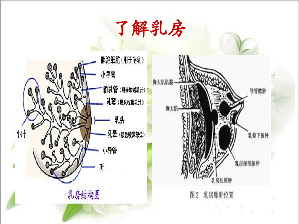 急性乳腺炎的护理_第3页