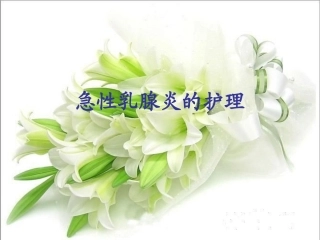 急性乳腺炎的护理