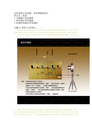 怎样拍摄主景清晰,背景模糊的照片