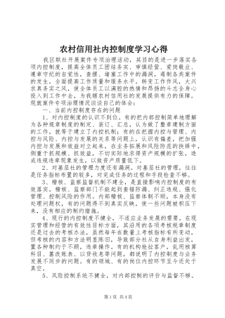 农村信用社内控制度学习心得