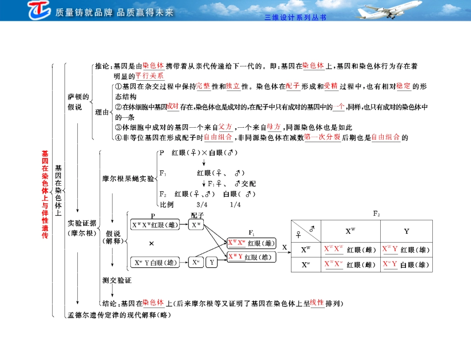 必修二  第二单元  第二讲   基因在染色体上与伴性遗传_第3页