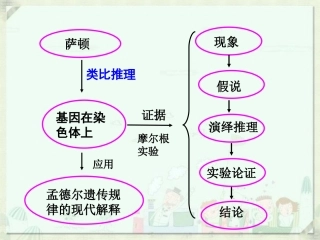 必修二2.3第二章第三节 伴性遗传