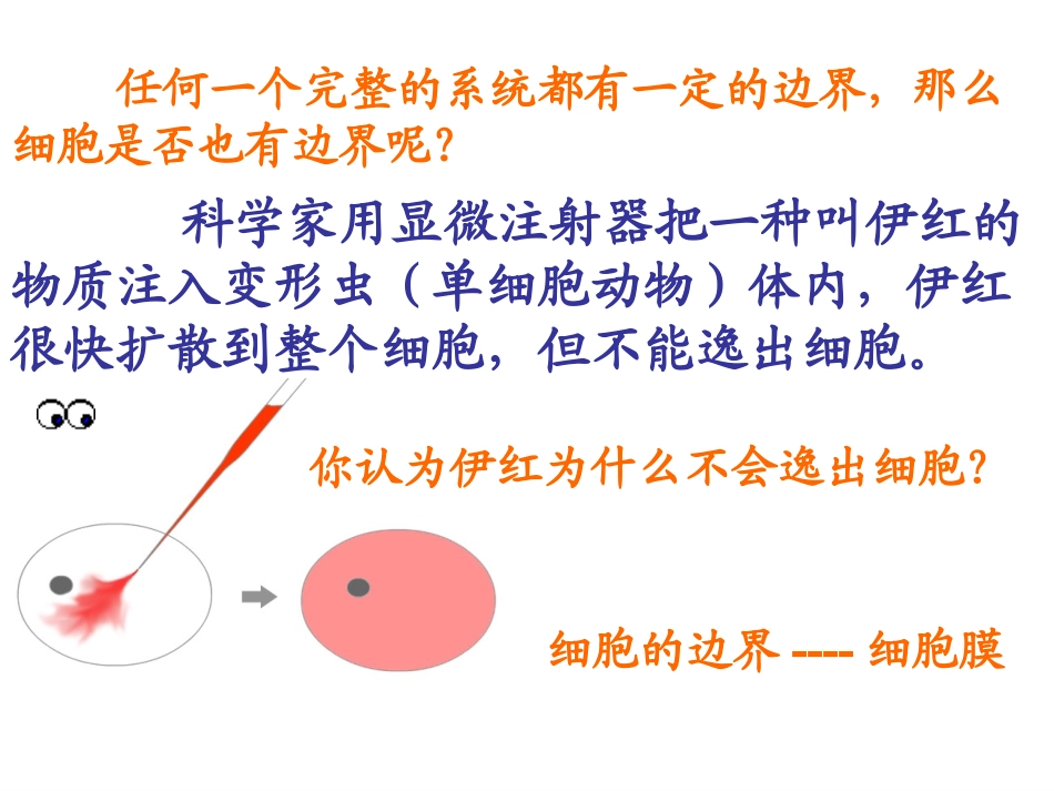 必修一31细胞膜_第3页