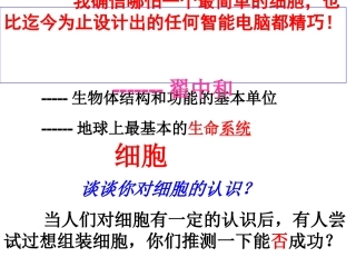 必修一31细胞膜