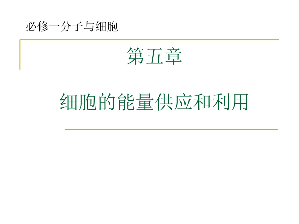 必修一-第5章-细胞的能量供应和利用2013_第1页