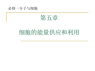 必修一-第5章-细胞的能量供应和利用2013