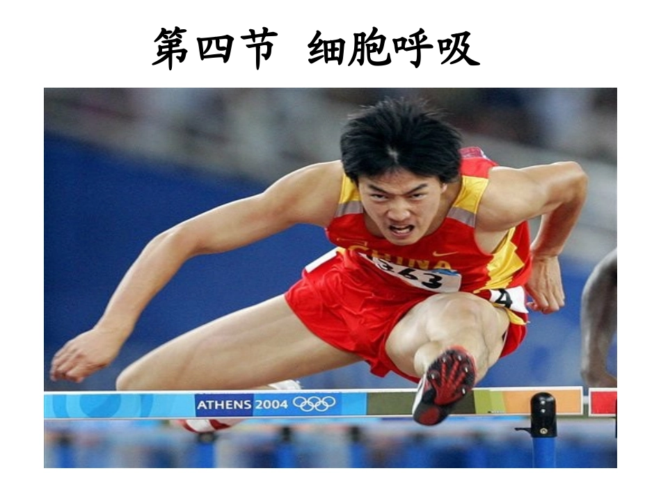 必修1、3-4、细胞呼吸._第2页