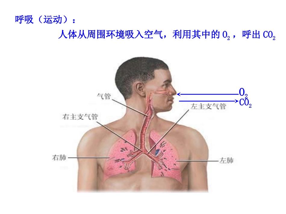 必修1、3-4、细胞呼吸._第3页