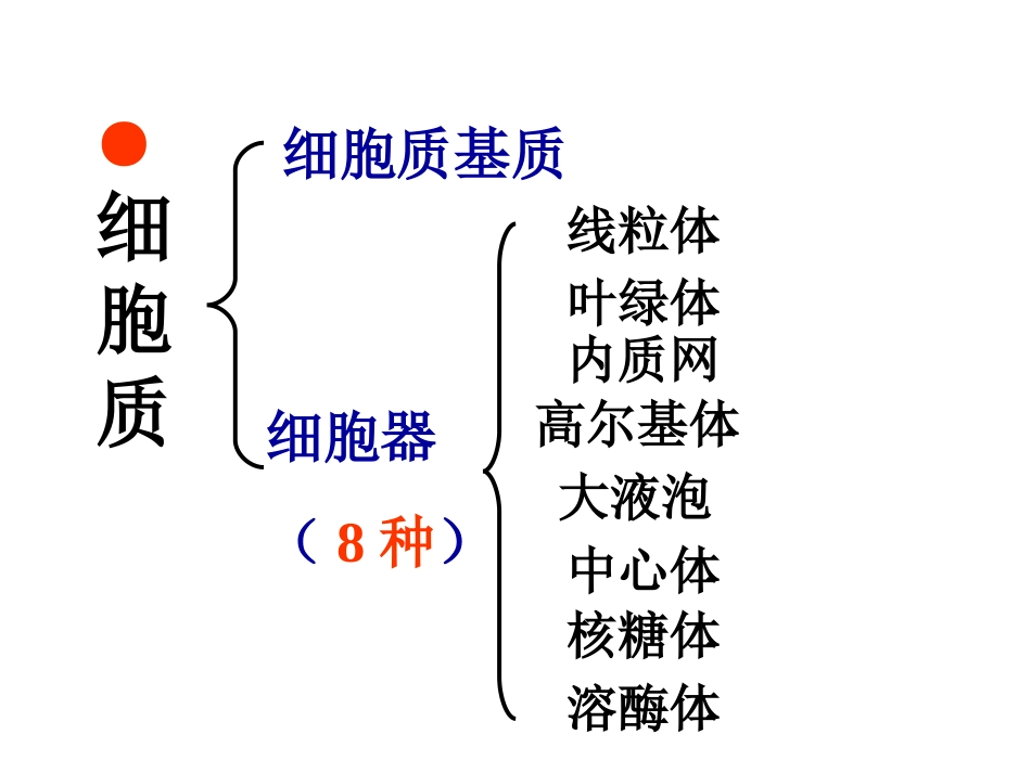 必修1-第二单元-第二讲--细胞器——系统内的分工与合作_第3页