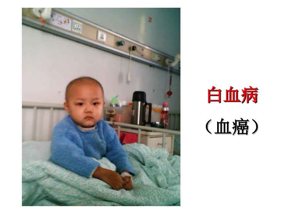 必修1-6-2细胞的分化、衰老、凋亡、癌变_第2页