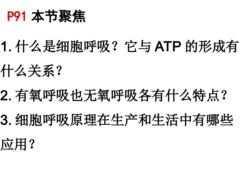 必修1-05-03ATP的主要来源——细胞呼吸_第3页