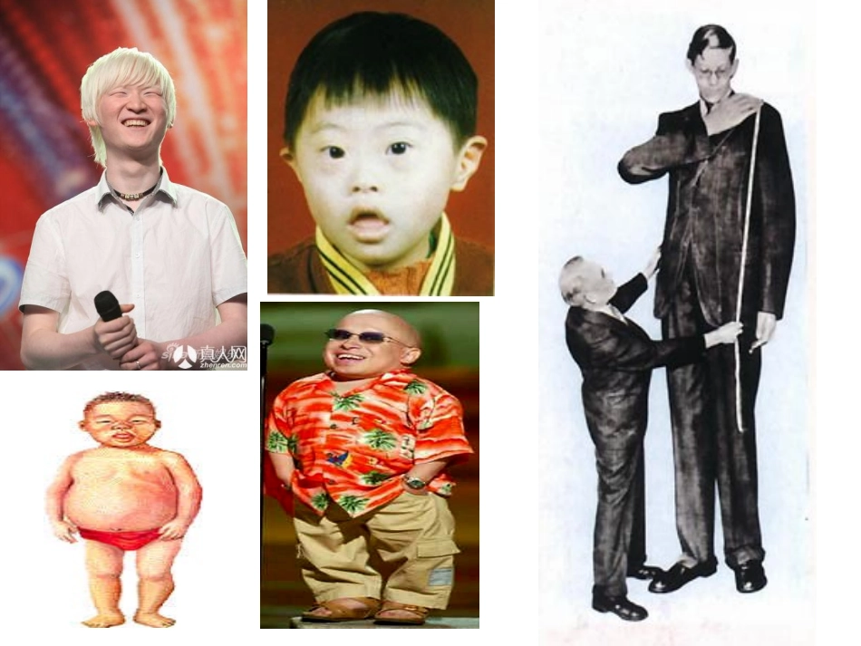 必修3、3-2、内分泌系统与体液调节_第2页