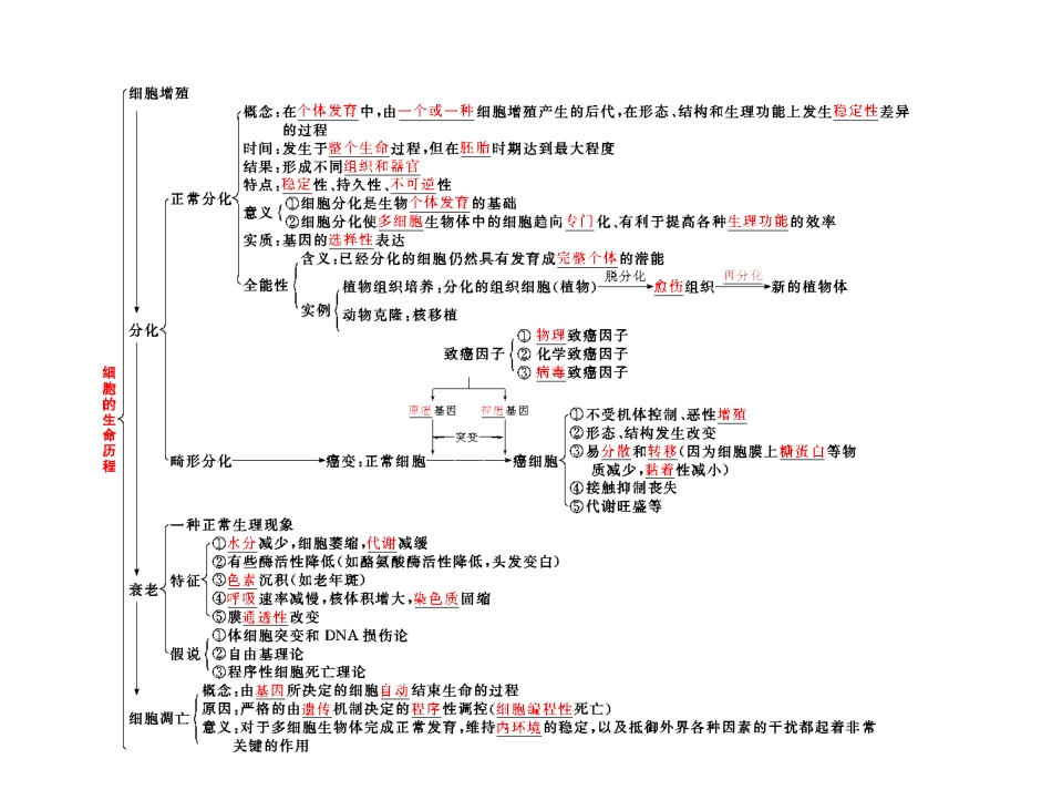 必修1--第五单元--第二讲--细胞的分化、衰老、凋亡和癌变_第3页