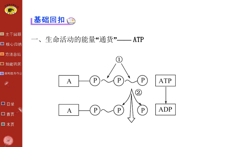 必修1 第4章 第1节_第3页