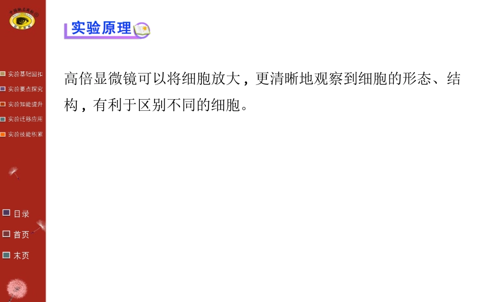 必修1 第1章 实验_第3页