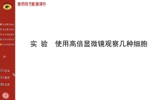 必修1 第1章 实验