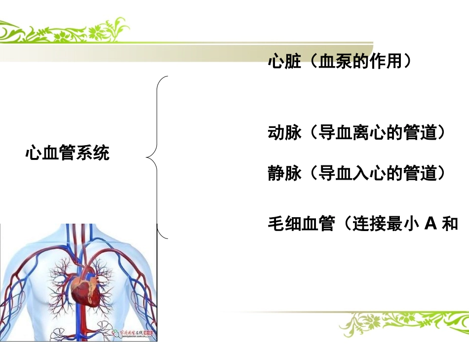 心血管系统评估-_第3页