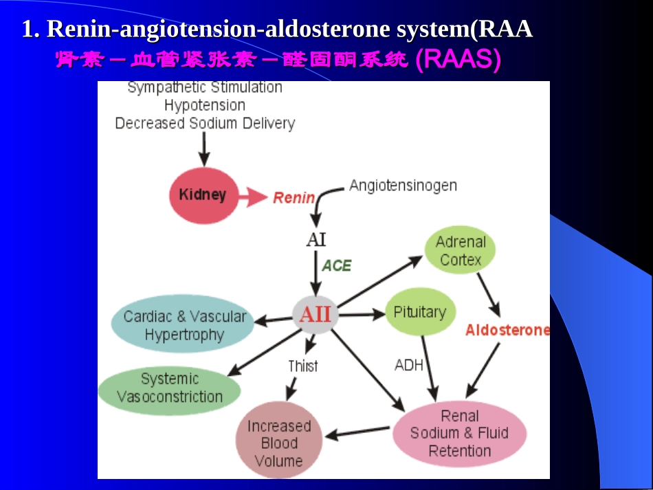 心血管活动调节-中英文_第3页