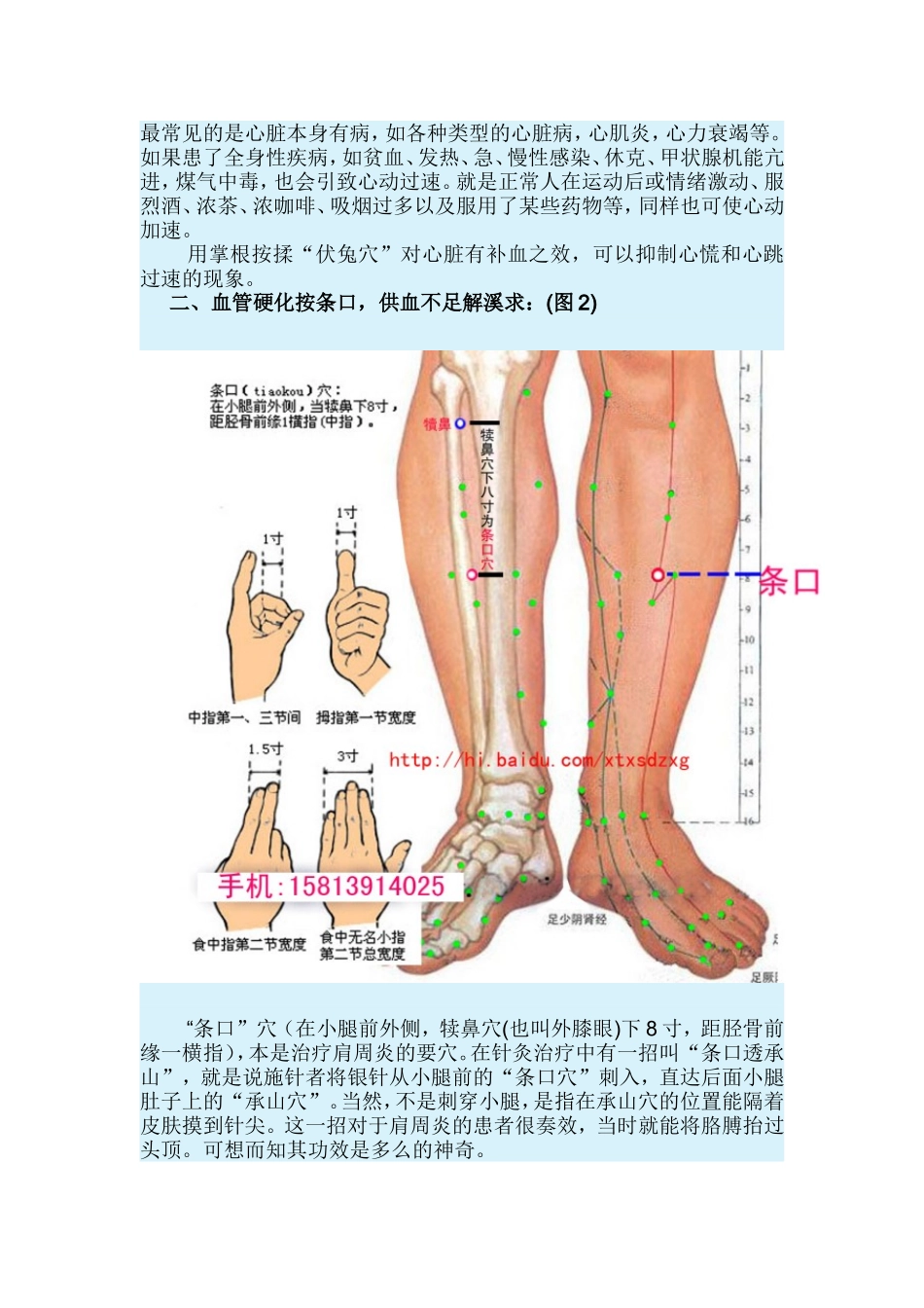 心脏病治疗口诀并附图谱_第2页
