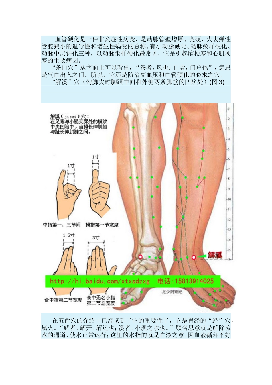 心脏病治疗口诀并附图谱_第3页
