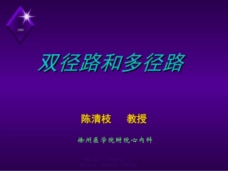 心脏房室双径路和多径路