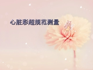 心脏彩超规范测量
