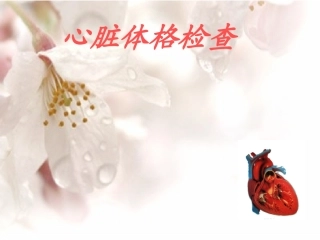 心脏体格检查.ppt