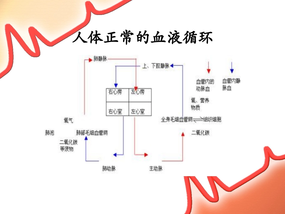 心脏、血管手术的配合_第3页