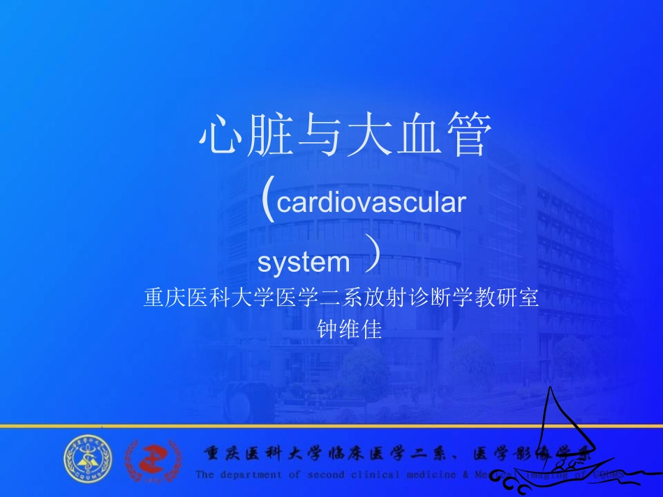 心脏与大血管-X线读片训练_第1页