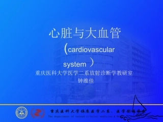 心脏与大血管-X线读片训练