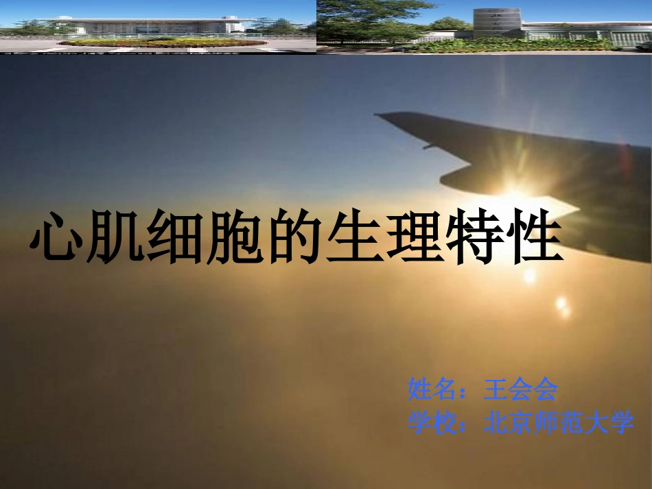 心肌细胞的生理特性_第1页