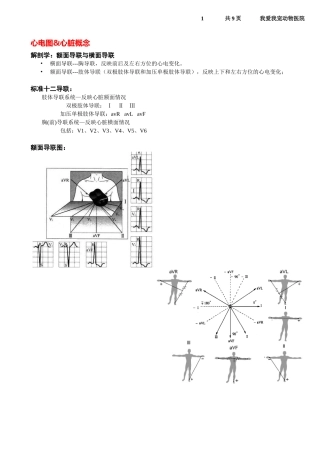 心电图额面导联与横面导联
