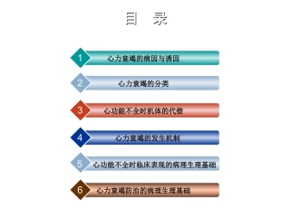 心力衰竭的病因与诱因