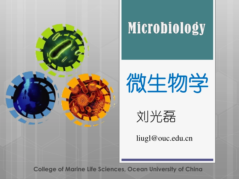 微生物菌种的筛选与保藏_第1页