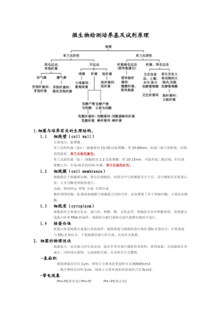 微生物检测培养基原理