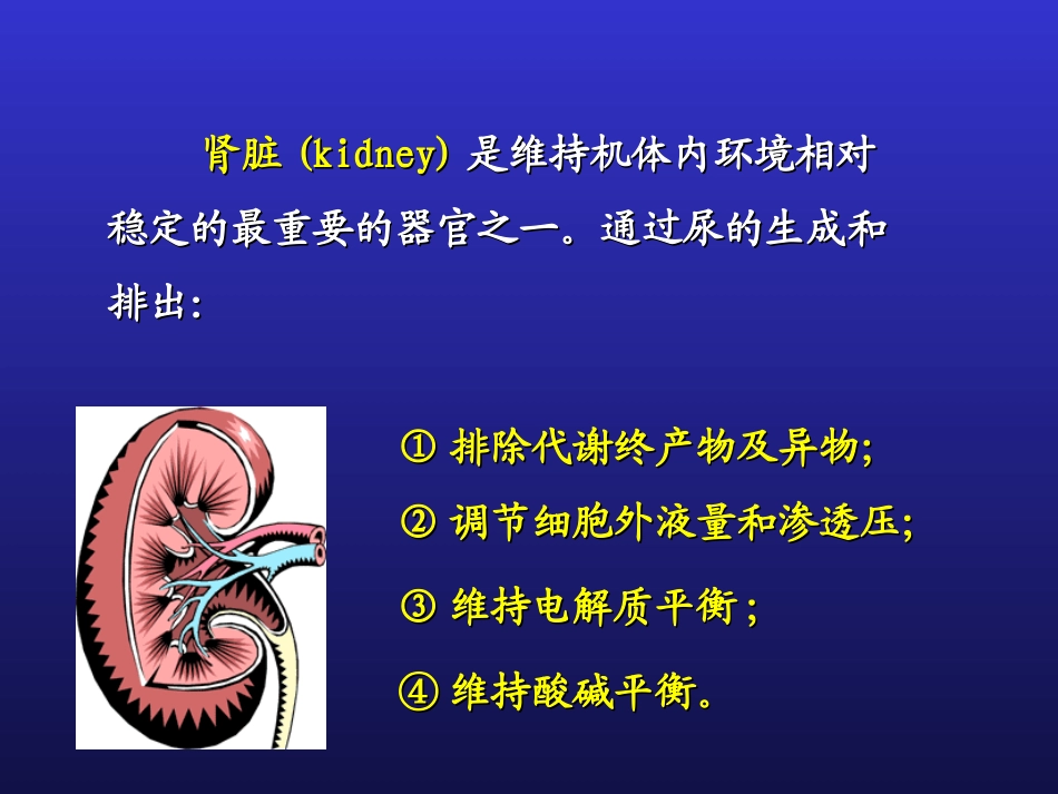 影响尿生成因素_第2页