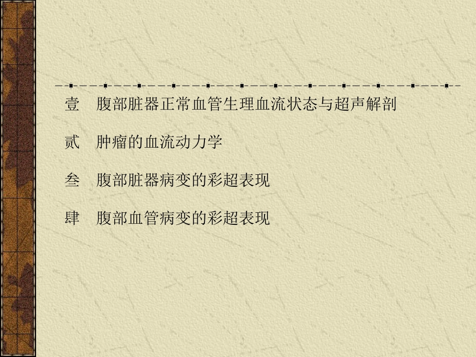 彩色 多普勒血流图(彩超课件)_第3页