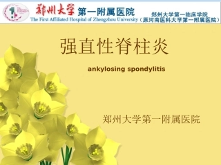 强直性脊柱炎1详解
