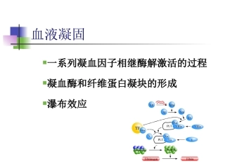 弥散性血管内凝血DIC