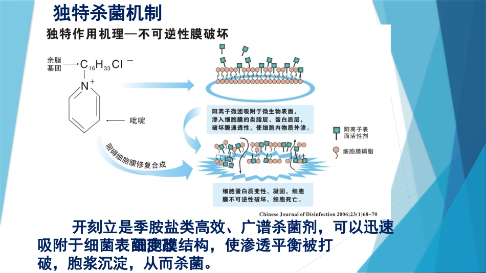 开刻立-口腔科_第3页