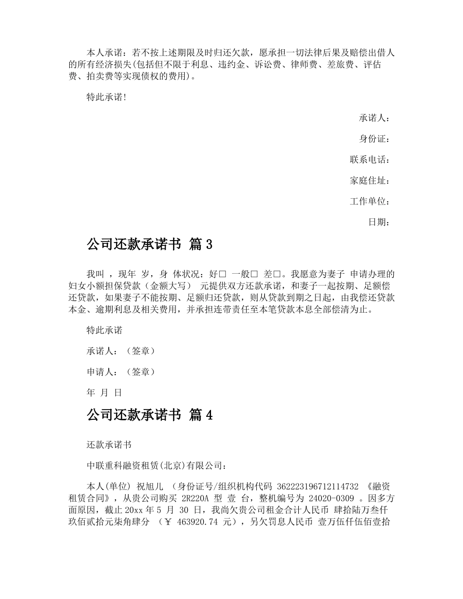 公司还款承诺书_第2页
