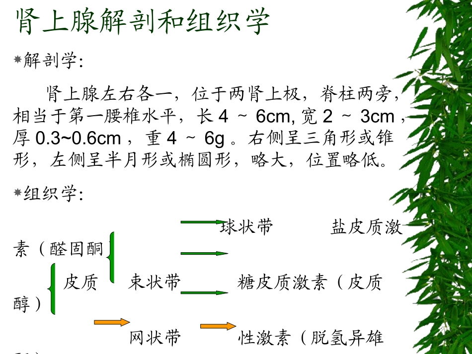 库欣综合征5_第3页