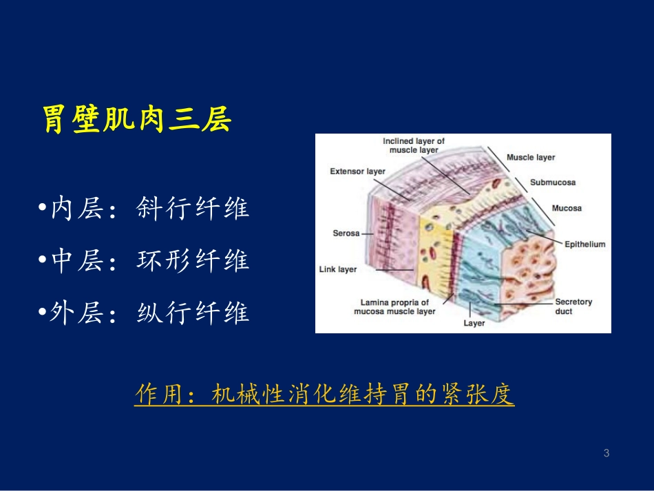 幽门螺杆菌胃炎_第3页