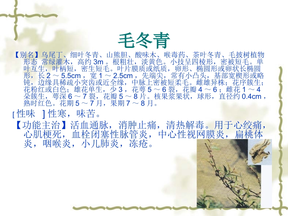 广东中草药分析_第1页