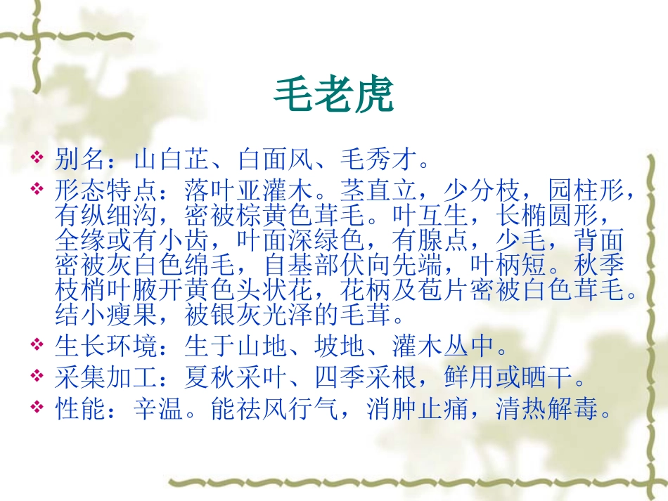 广东中草药分析_第3页